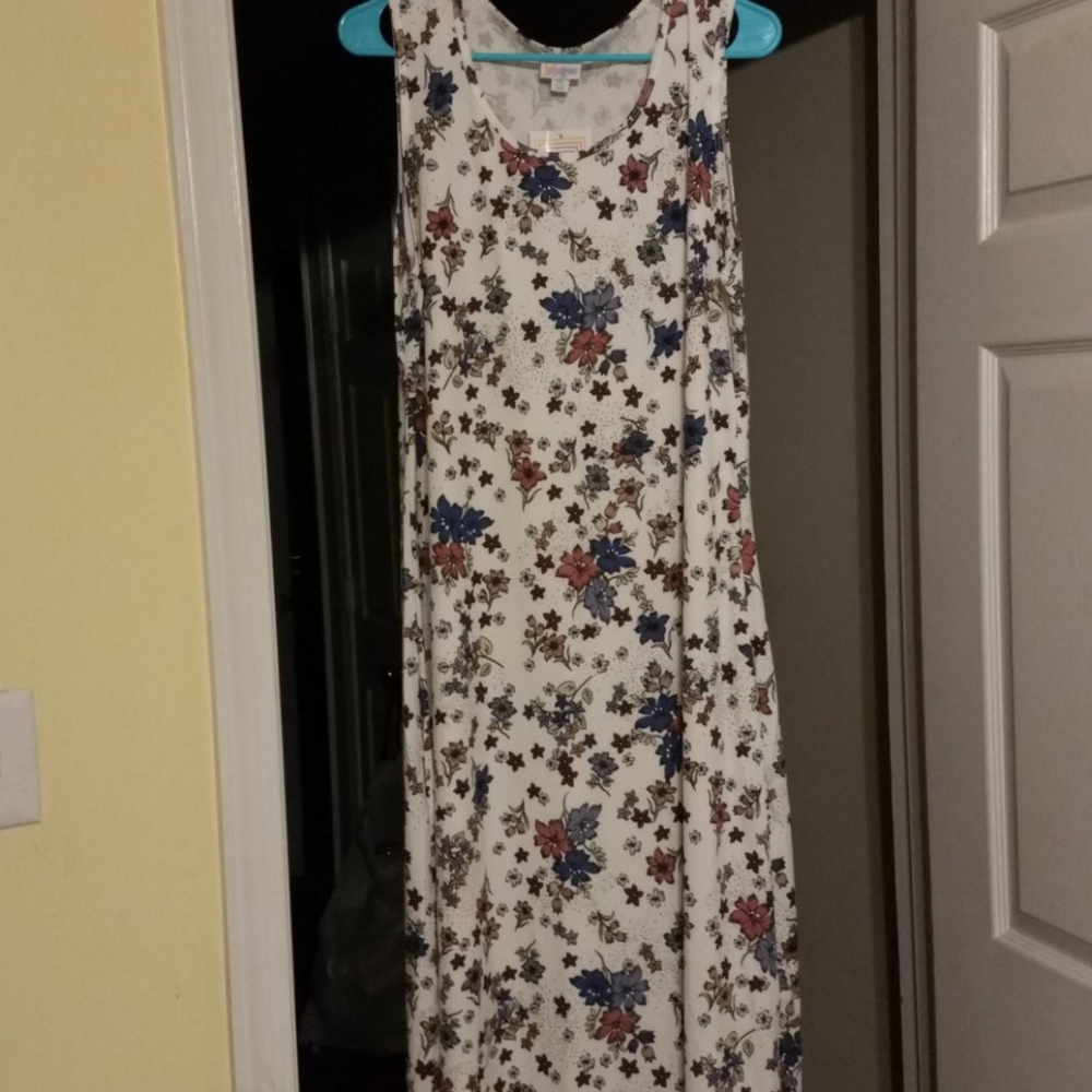 Brand New 2XL Lularoe Dani dress